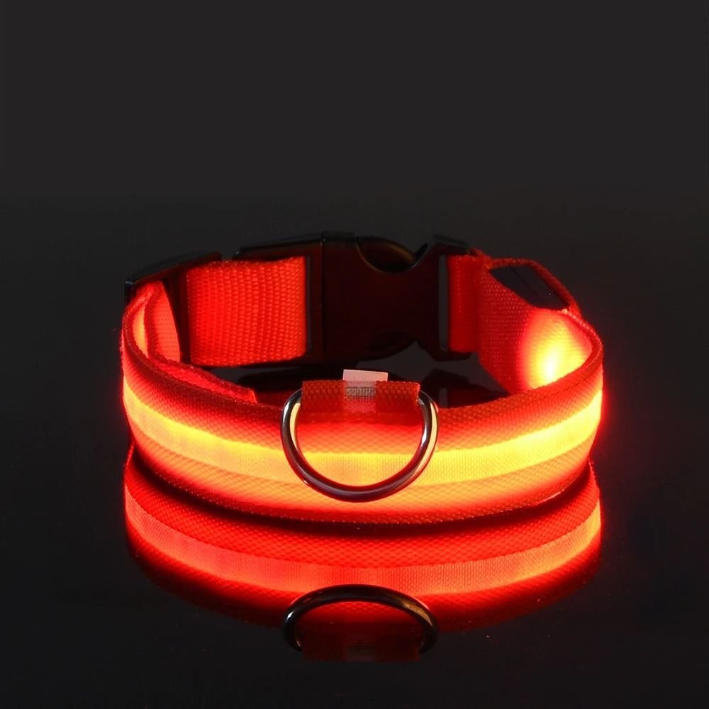 LED Glow-in-the-Dark Dog Leash — Nylon Safety Leash with Flashing Light