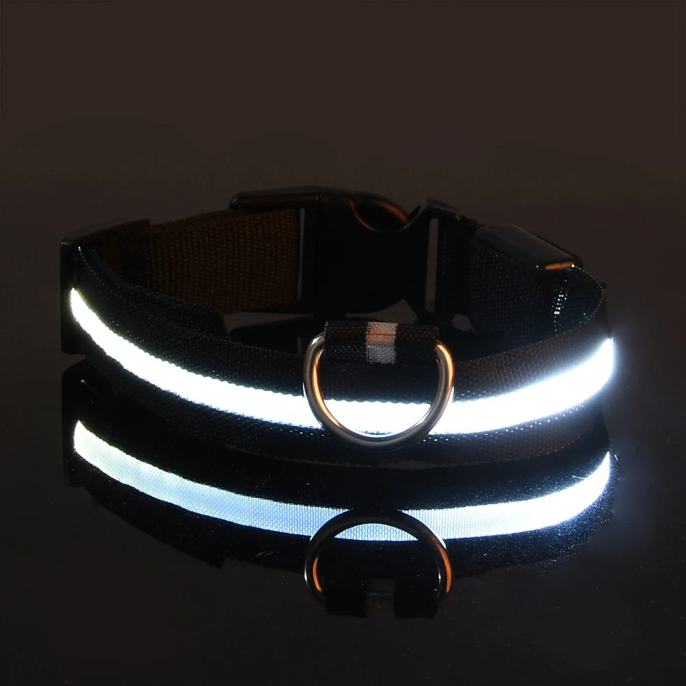 LED Glow-in-the-Dark Dog Leash — Nylon Safety Leash with Flashing Light