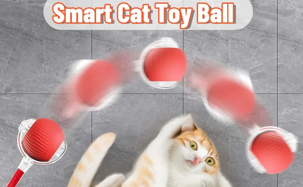 Smart Interactive Rolling Ball Cat Toy — Rechargeable