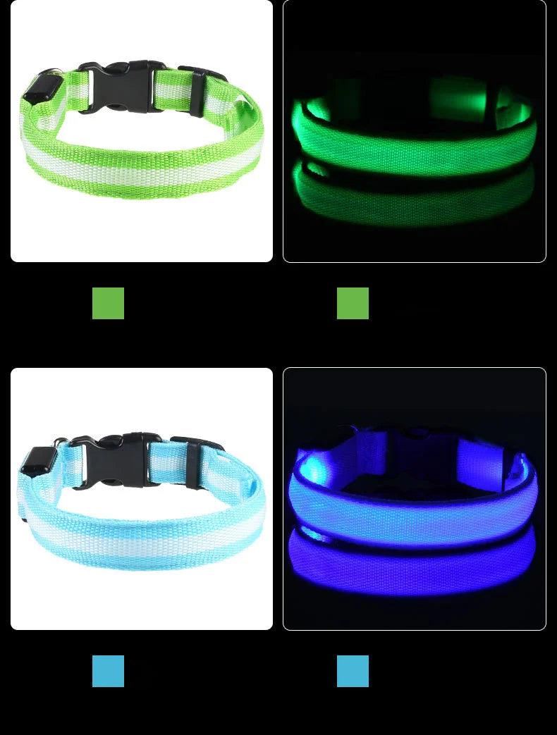 LED Glow-in-the-Dark Dog Leash — Nylon Safety Leash with Flashing Light