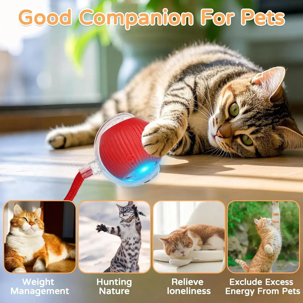 Smart Interactive Rolling Ball Cat Toy — Rechargeable