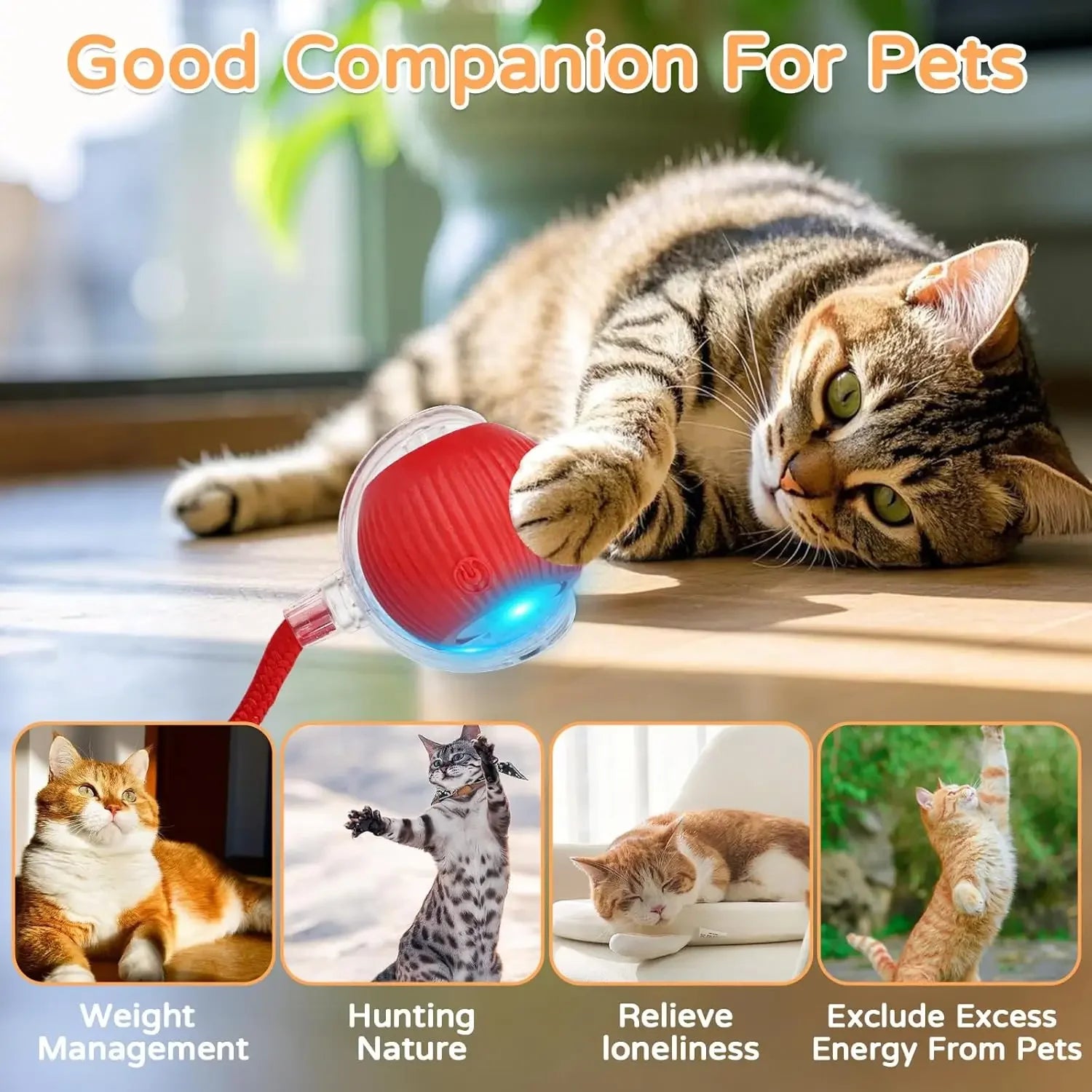 Smart Interactive Rolling Ball Cat Toy — Rechargeable