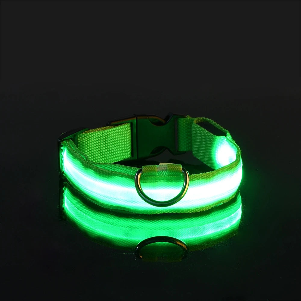 LED Glow-in-the-Dark Dog Leash — Nylon Safety Leash with Flashing Light