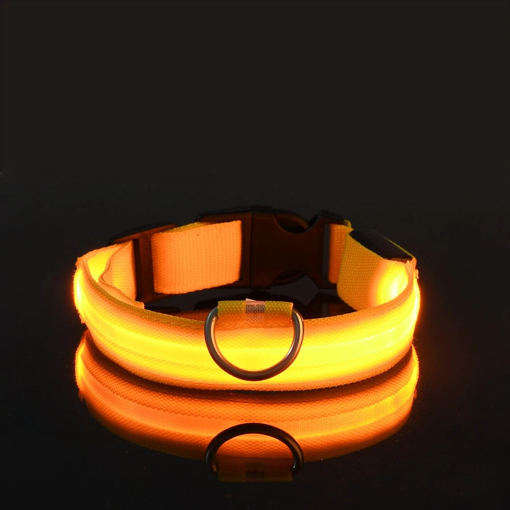 LED Glow-in-the-Dark Dog Leash — Nylon Safety Leash with Flashing Light