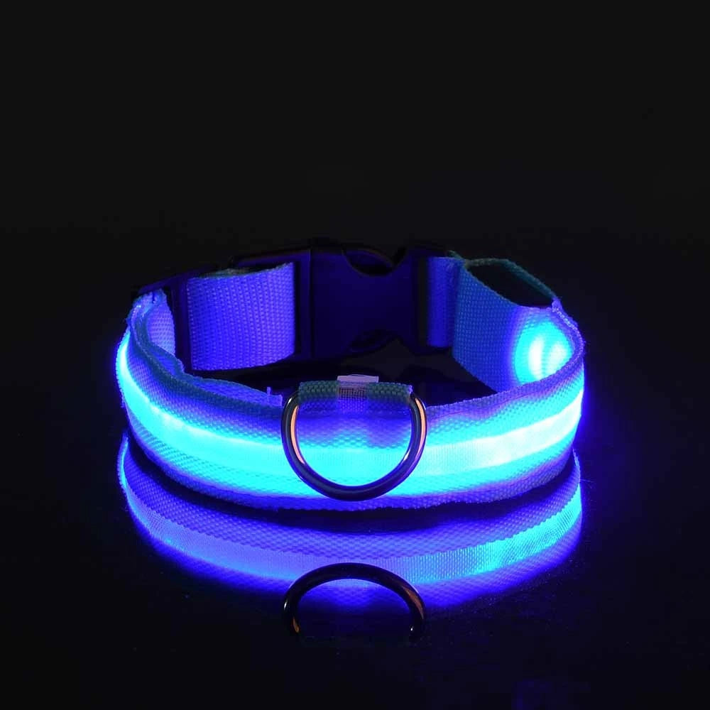 LED Glow-in-the-Dark Dog Leash — Nylon Safety Leash with Flashing Light