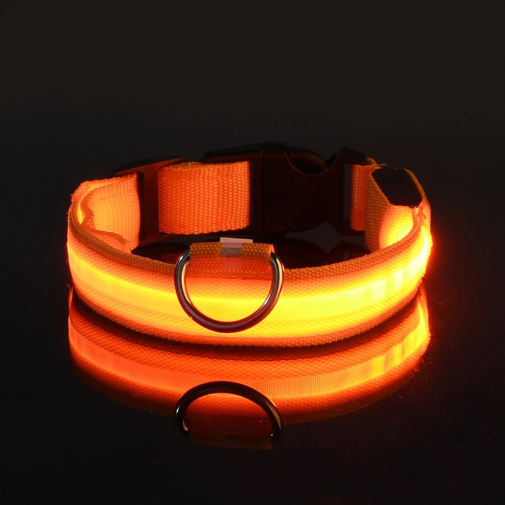 LED Glow-in-the-Dark Dog Leash — Nylon Safety Leash with Flashing Light
