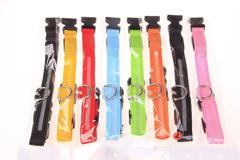 LED Glow-in-the-Dark Dog Leash — Nylon Safety Leash with Flashing Light