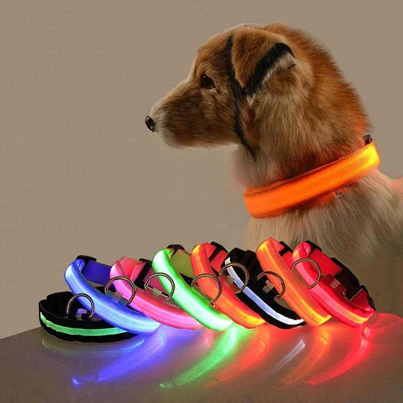LED Glow-in-the-Dark Dog Leash — Nylon Safety Leash with Flashing Light