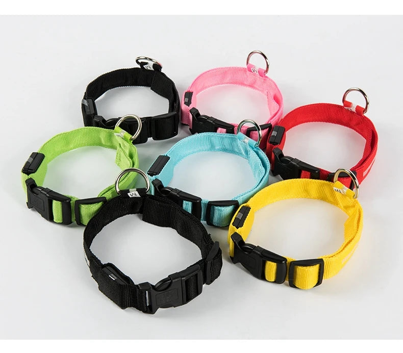 LED Glow-in-the-Dark Dog Leash — Nylon Safety Leash with Flashing Light