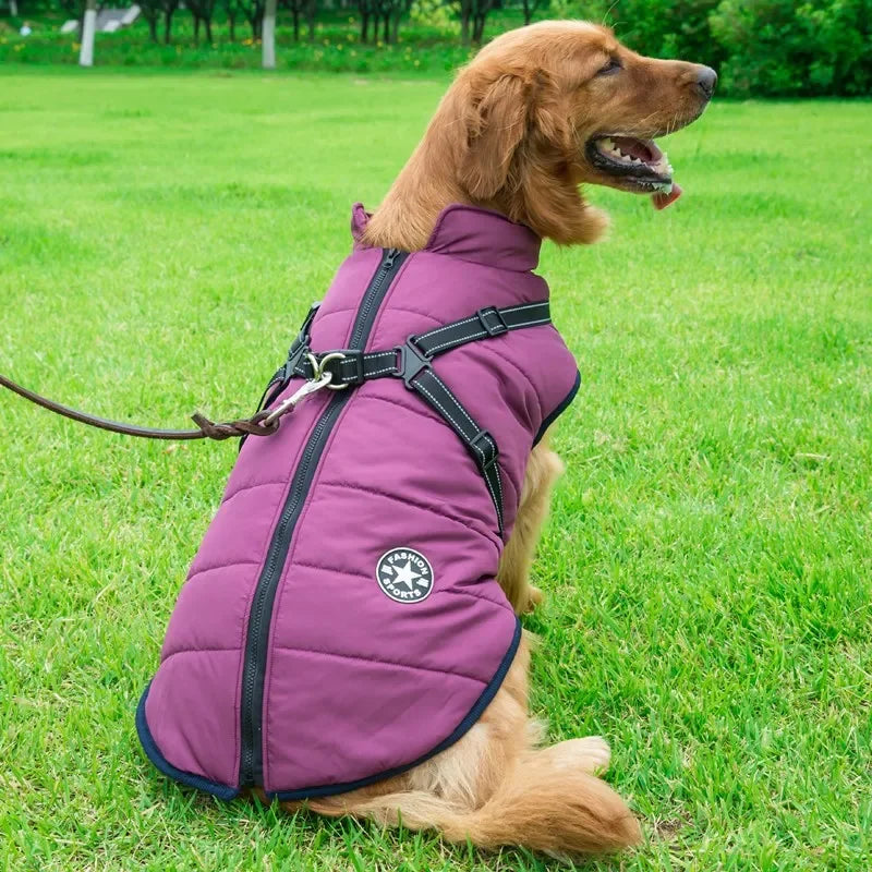 Waterproof Winter Dog Jacket with Harness