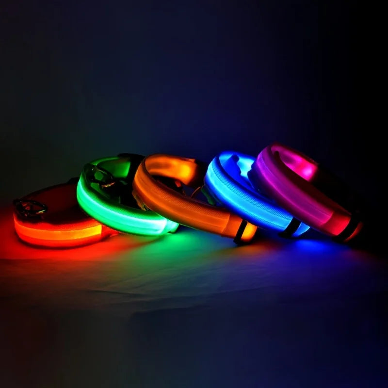 LED Glow-in-the-Dark Dog Leash — Nylon Safety Leash with Flashing Light