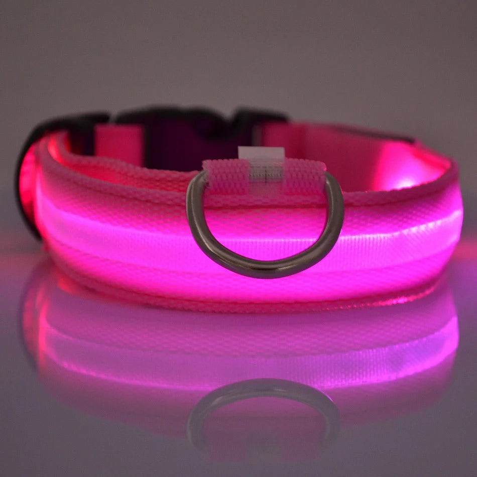 LED Glow-in-the-Dark Dog Leash — Nylon Safety Leash with Flashing Light