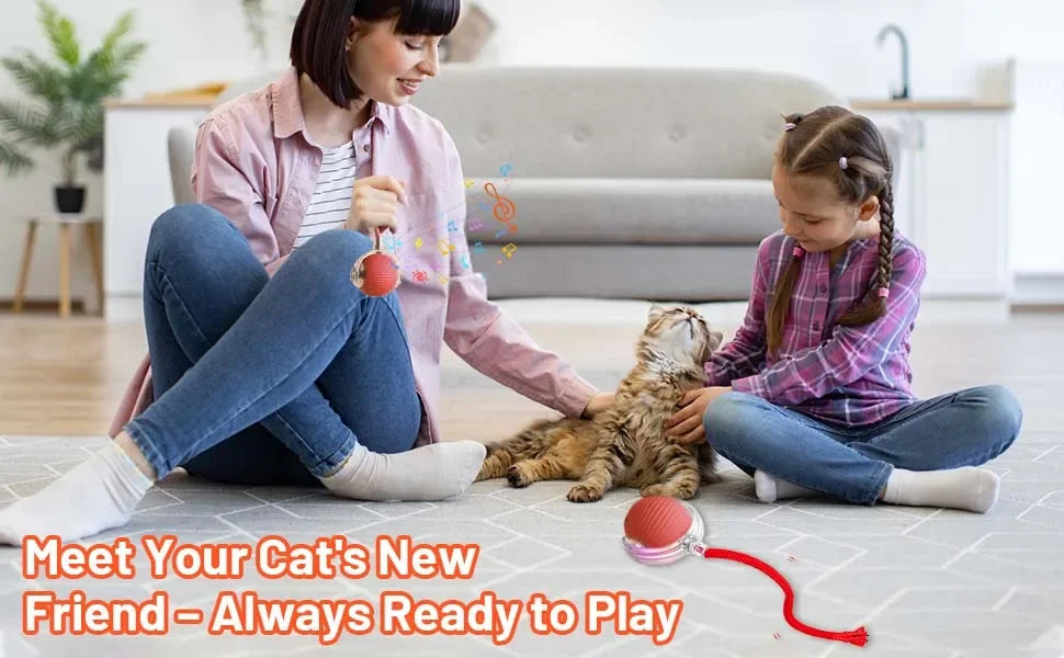 Smart Interactive Rolling Ball Cat Toy — Rechargeable