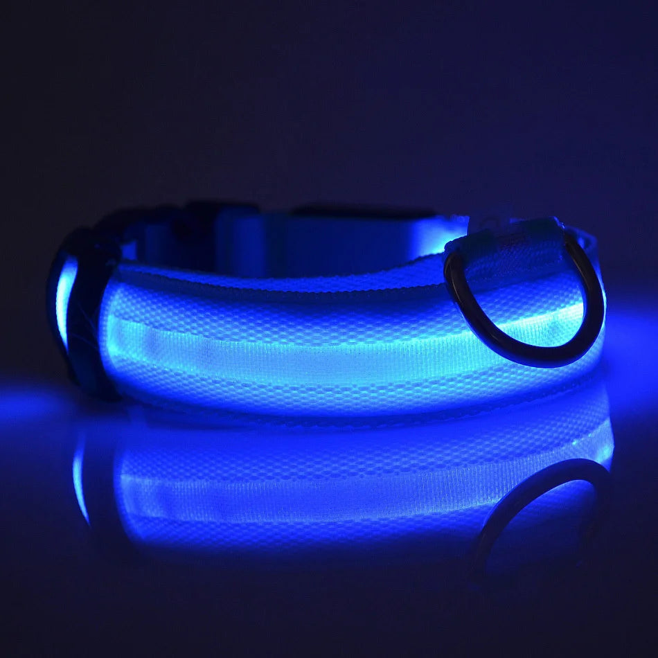 LED Glow-in-the-Dark Dog Leash — Nylon Safety Leash with Flashing Light
