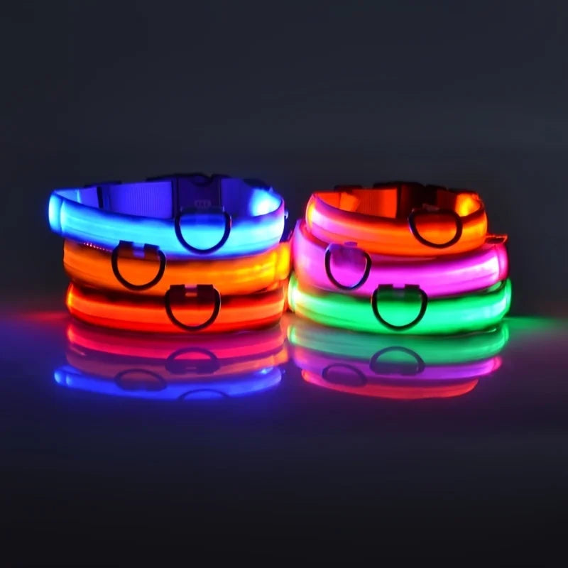LED Glow-in-the-Dark Dog Leash — Nylon Safety Leash with Flashing Light
