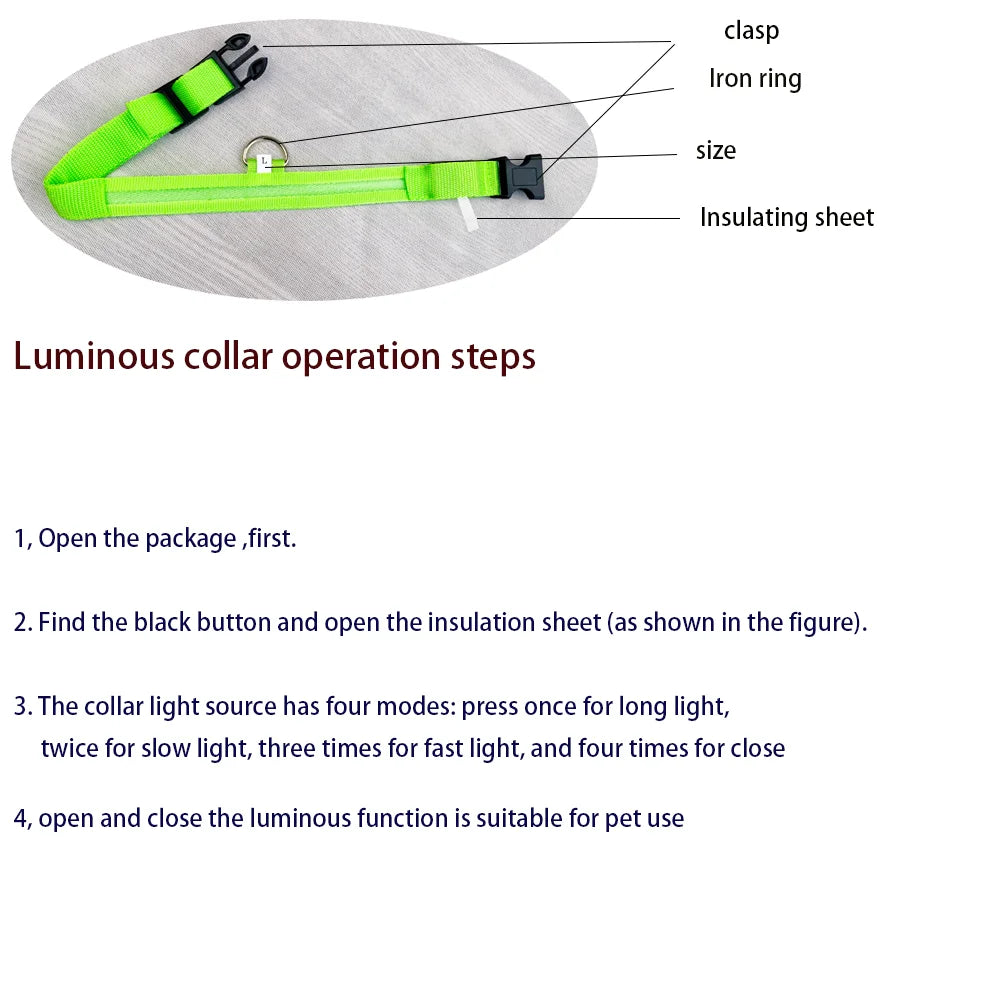 LED Glow-in-the-Dark Dog Leash — Nylon Safety Leash with Flashing Light