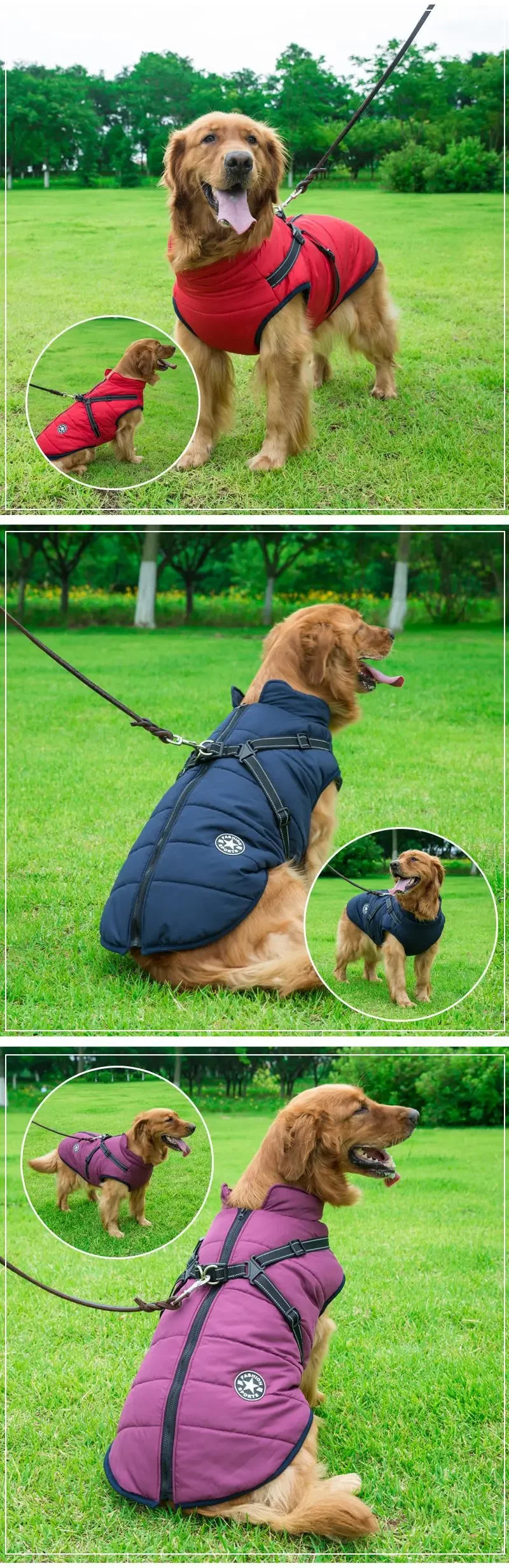 Waterproof Winter Dog Jacket with Harness