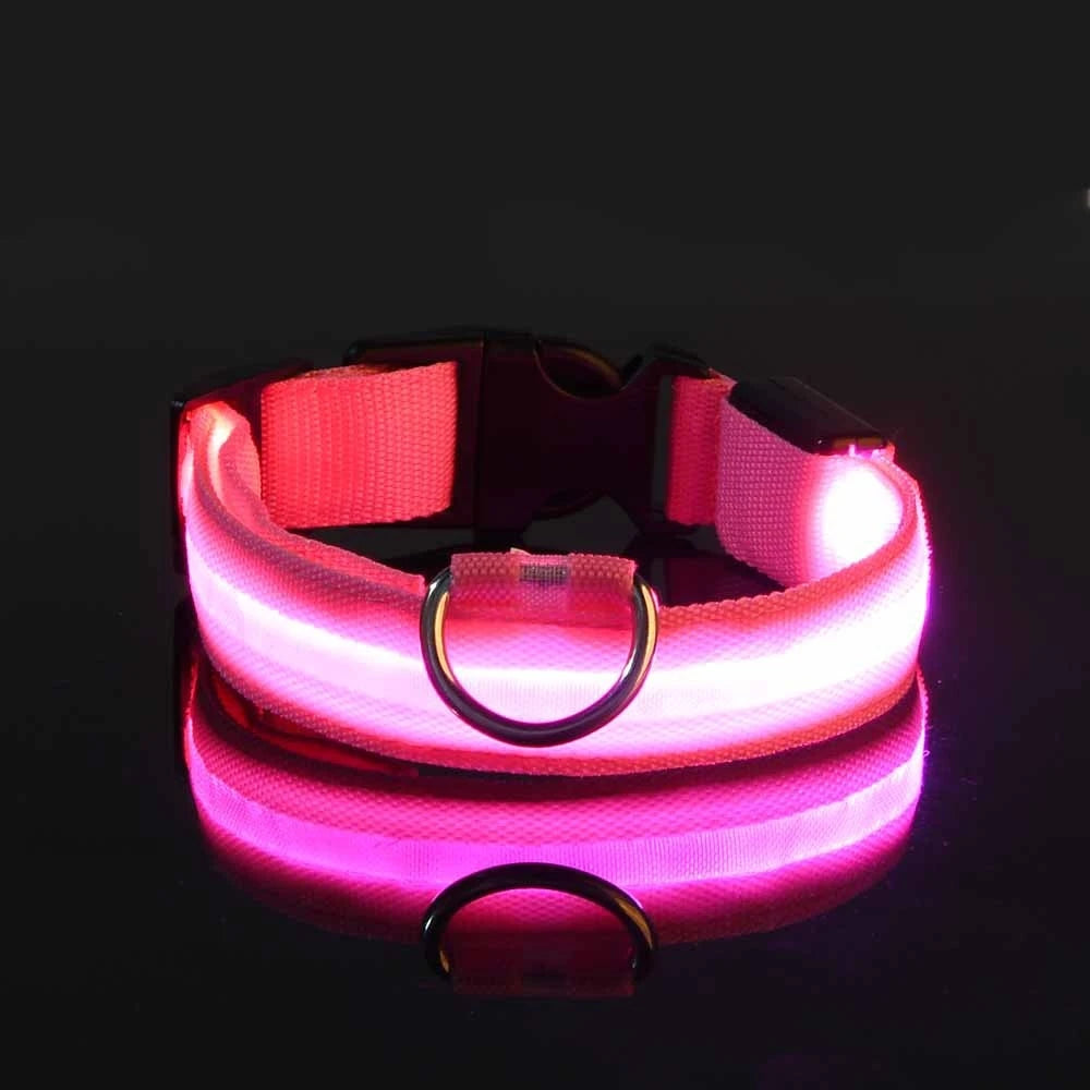 LED Glow-in-the-Dark Dog Leash — Nylon Safety Leash with Flashing Light