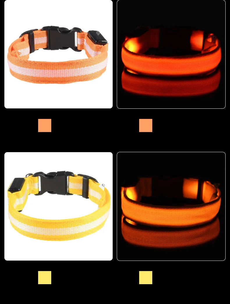 LED Glow-in-the-Dark Dog Leash — Nylon Safety Leash with Flashing Light