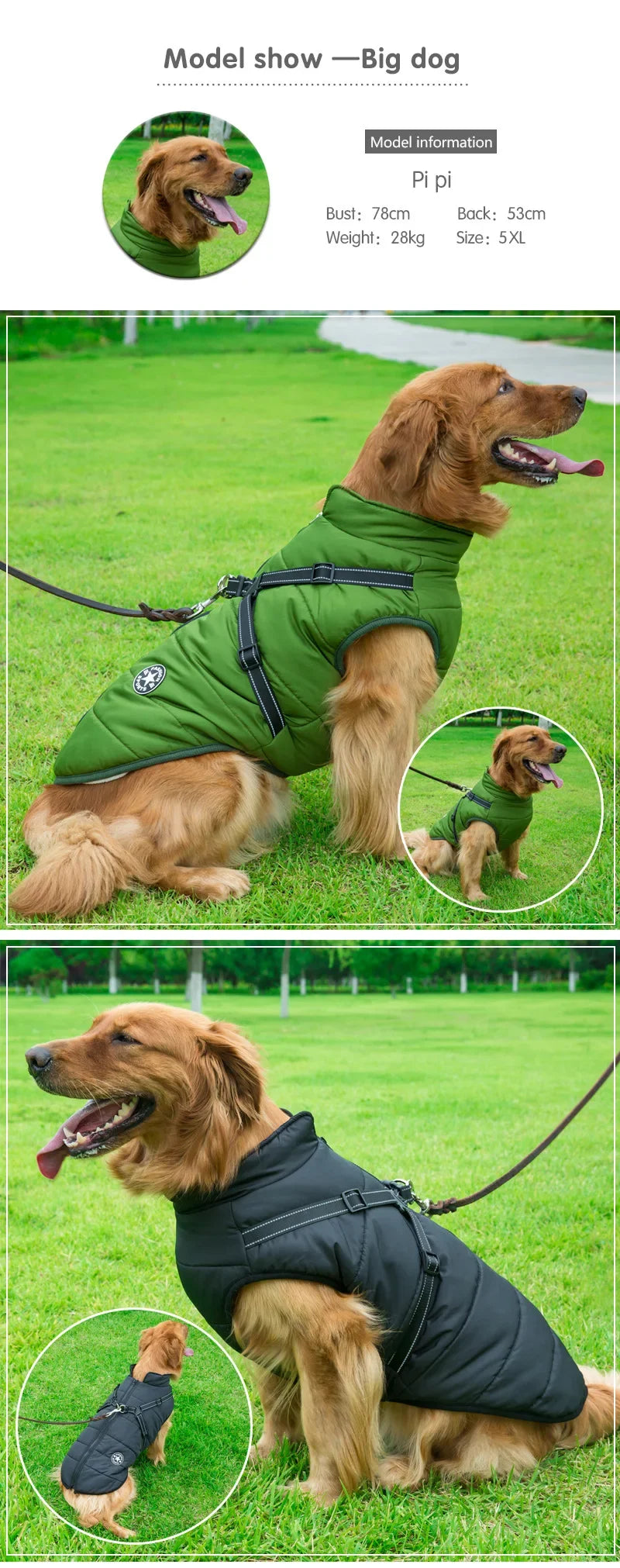 Waterproof Winter Dog Jacket with Harness