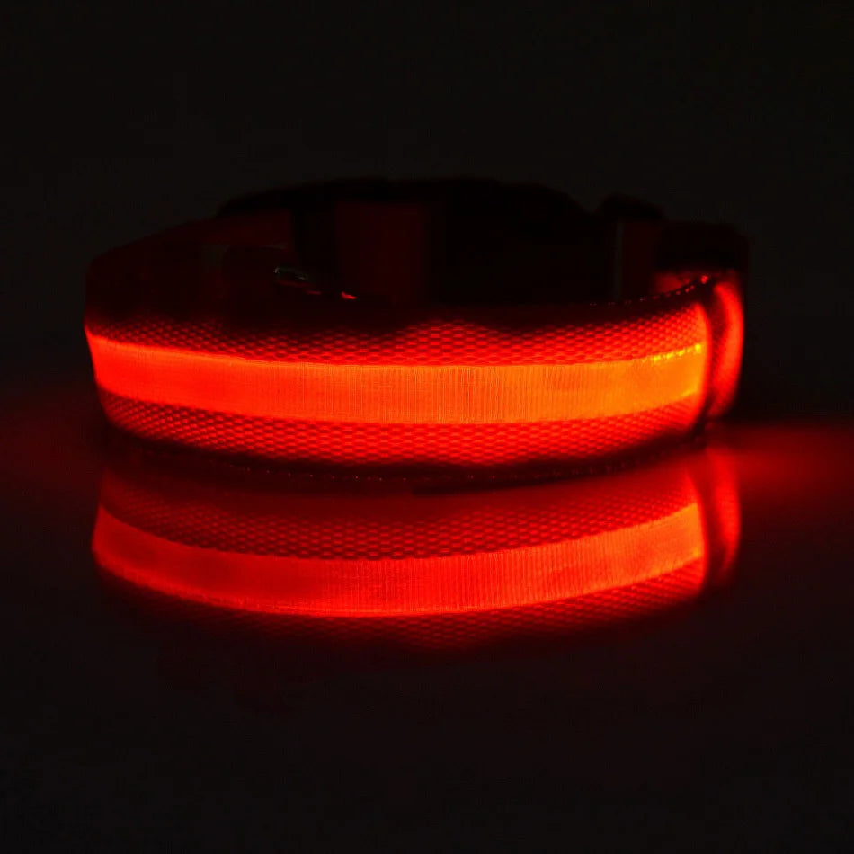 LED Glow-in-the-Dark Dog Leash — Nylon Safety Leash with Flashing Light