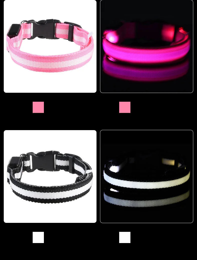 LED Glow-in-the-Dark Dog Leash — Nylon Safety Leash with Flashing Light
