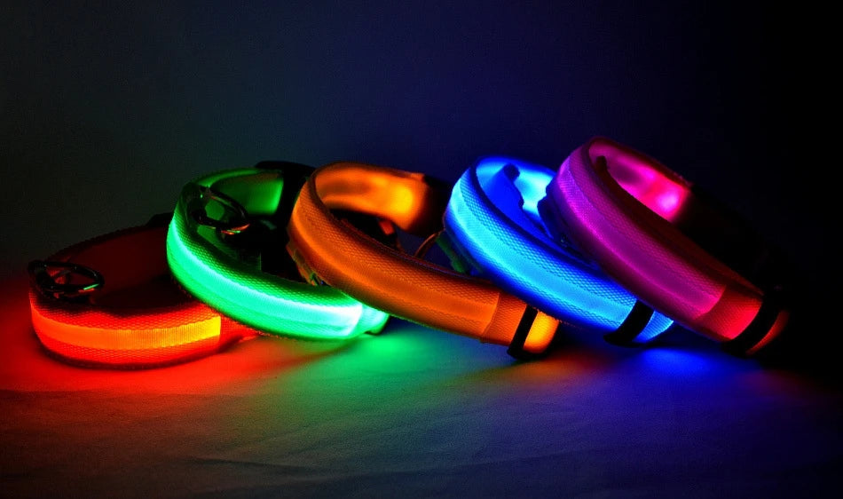 LED Glow-in-the-Dark Dog Leash — Nylon Safety Leash with Flashing Light