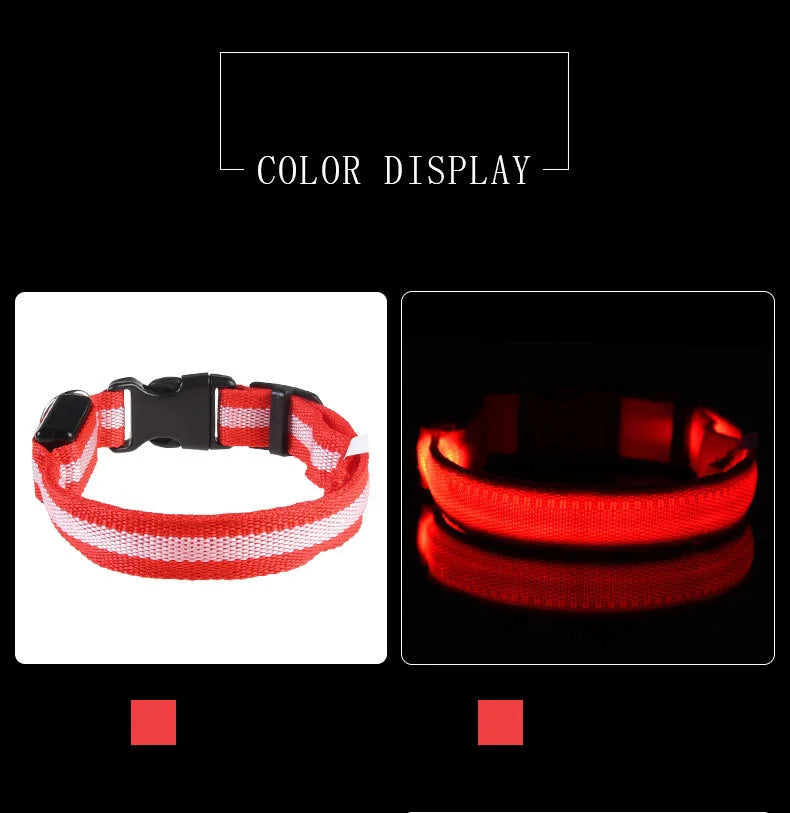 LED Glow-in-the-Dark Dog Leash — Nylon Safety Leash with Flashing Light